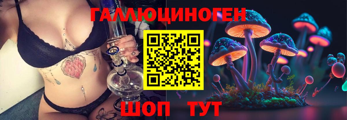 Волгодонск  Галлюциногенные грибы Psilocybine cubensis  Вход с VPN 